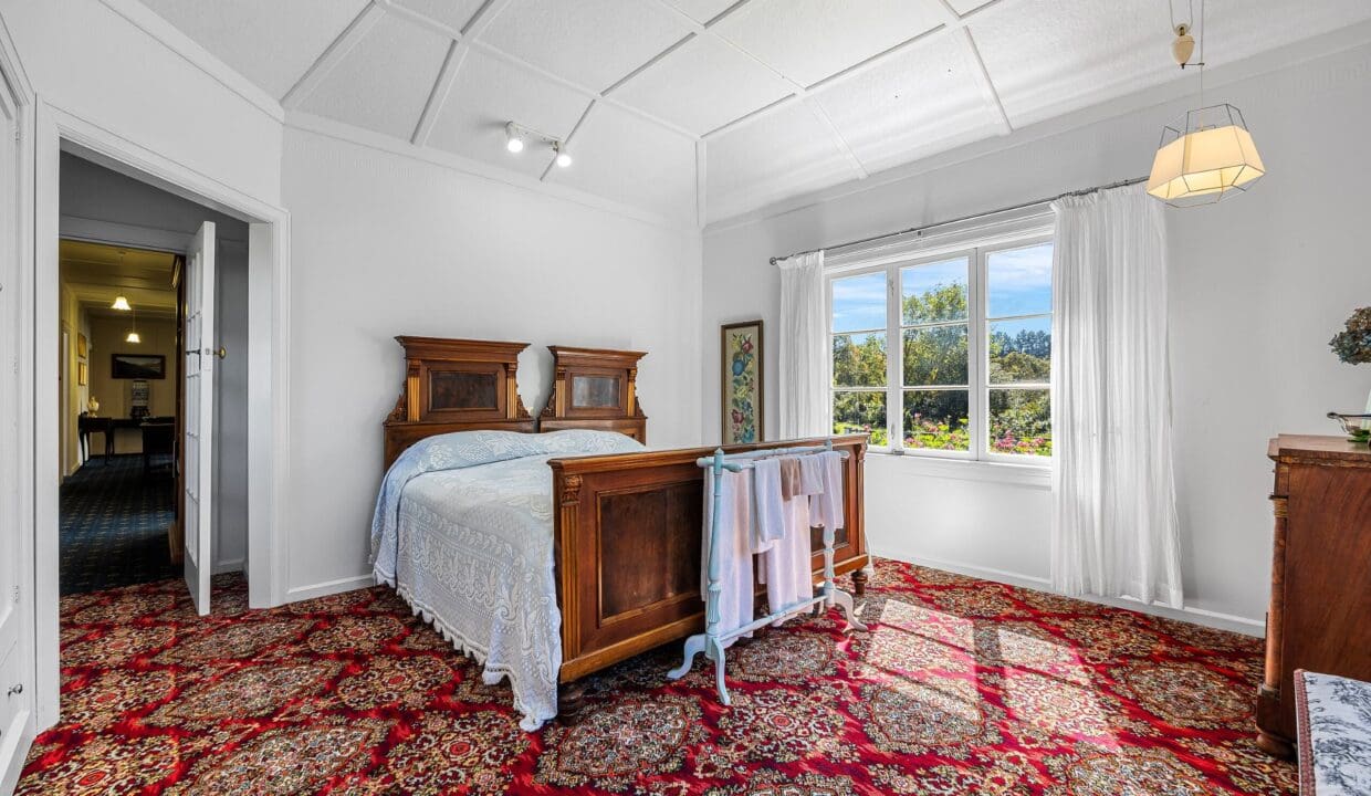 195496387__1775517514-36990-7c70dfd2-d795-4503-82b1-59d93a31165b