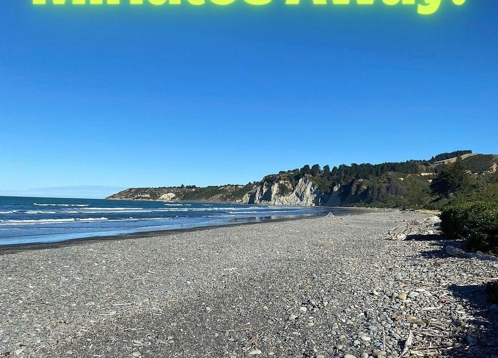 196177987__1775776908-34252-GoreBaywithText