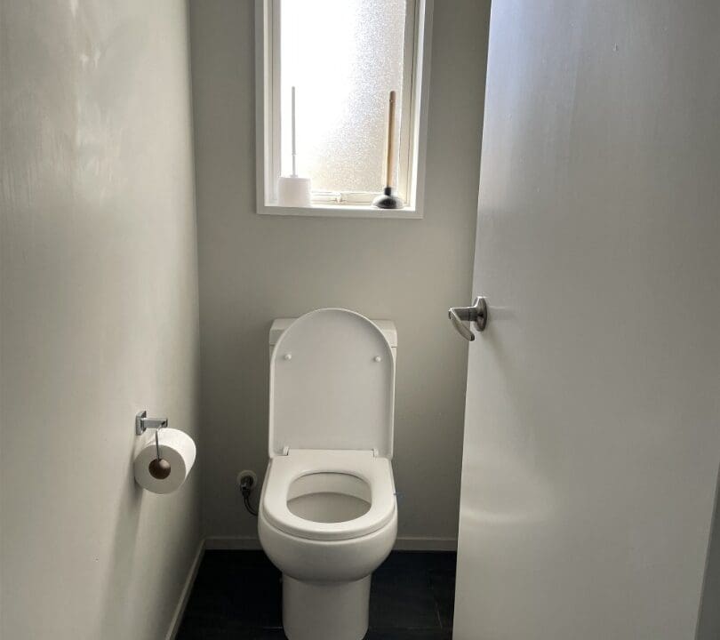 RBPR012412-RBPI011229