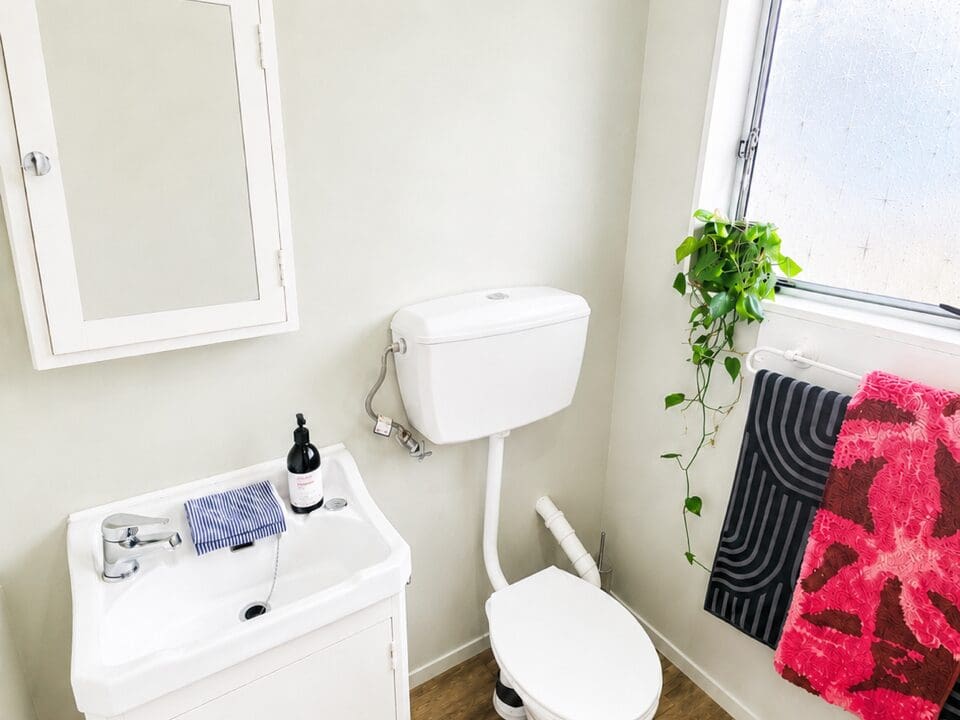 203551916__1779950315-291046-Bathroom1