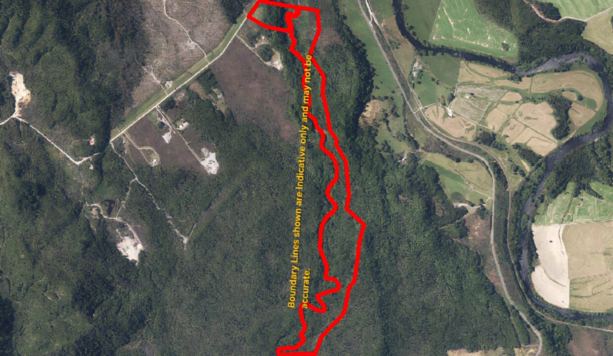 218369795__1789000608-49412-Lot4MaoriGullyRoad